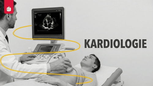 Kardiologie-Hub