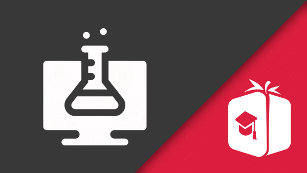 Laborbeauftragung Die Laborbeauftragung