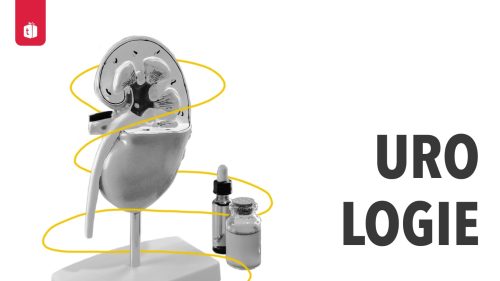 Urologie-Hub