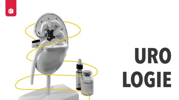 Urologie Urologie-Hub